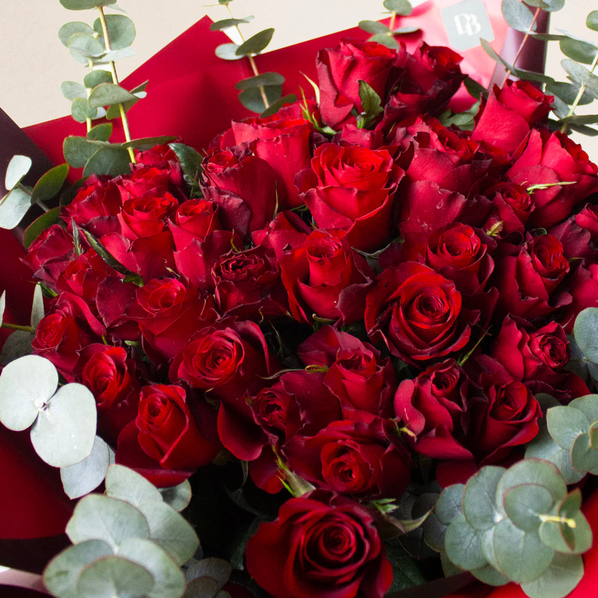 Red Roses Order 50 Red Roses - Order Now - Designer Blooms USA