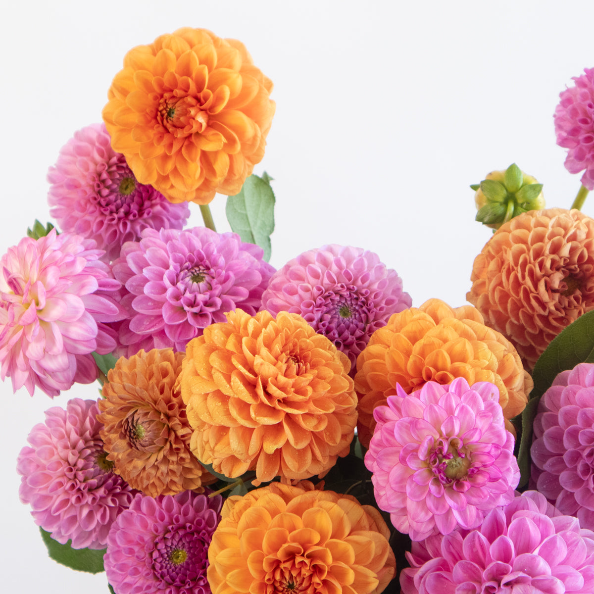 Dahlia Bright and Cheerful Vase Arrangement