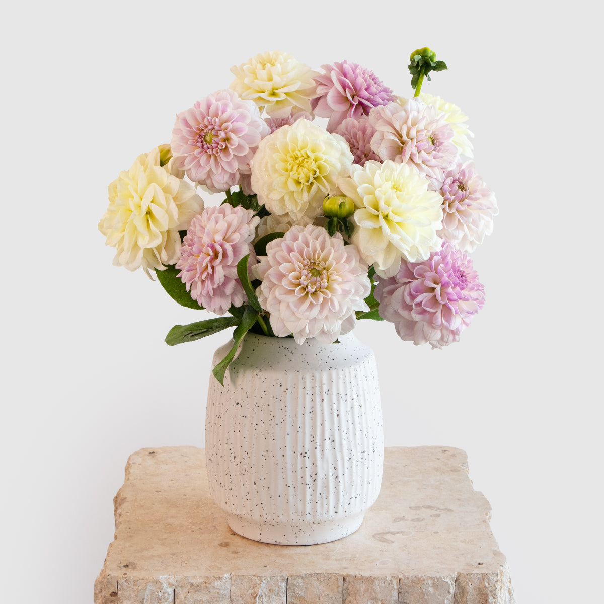 Dahlia Sweet and Loving Vase Arrangement