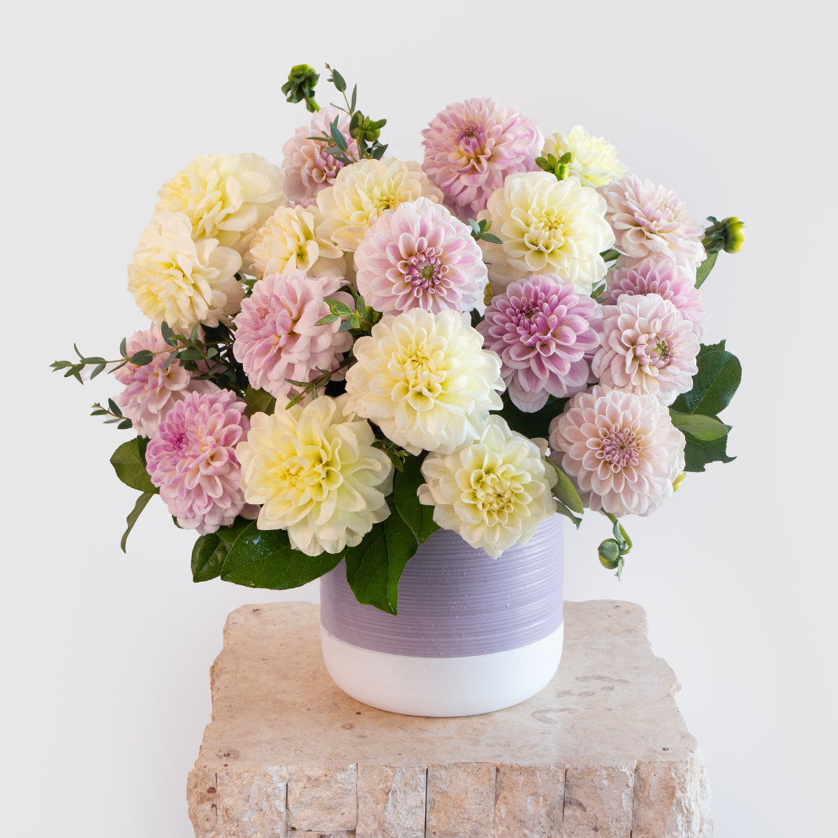 Dahlia Sweet and Loving Vase Arrangement