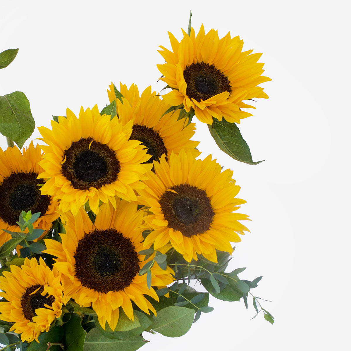 Sunflower Vase