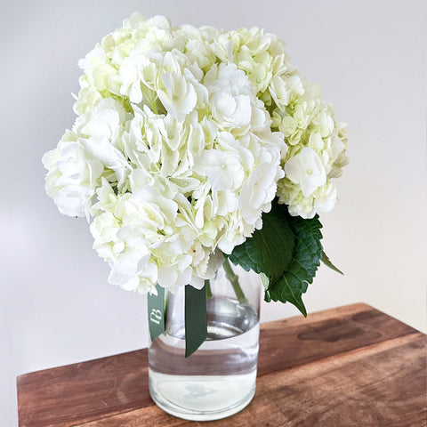 Talia Hydrangea Fresh Vase Arrangement