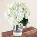 Talia Hydrangea Vase Arrangement