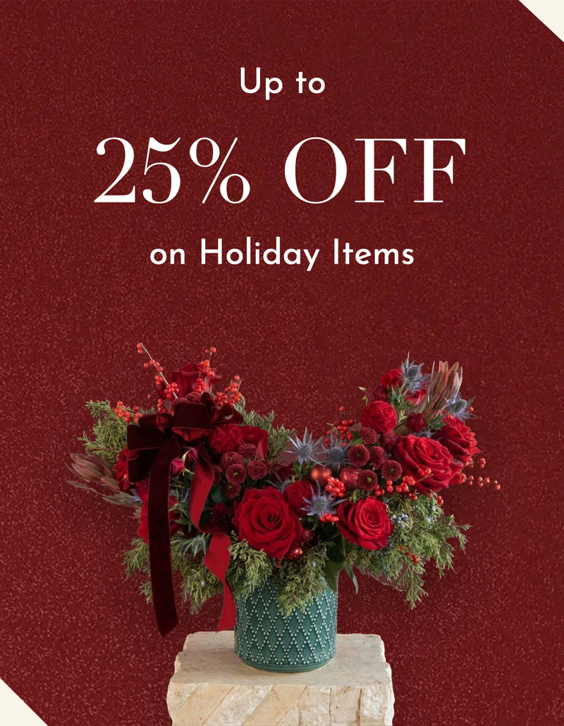 25% OFF on Holiday Items