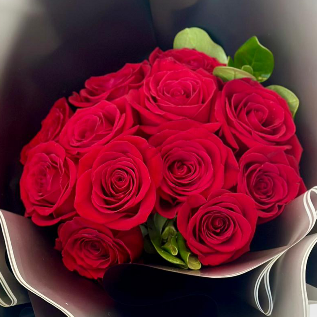 A Dozen Elegant Red Wrapped Roses