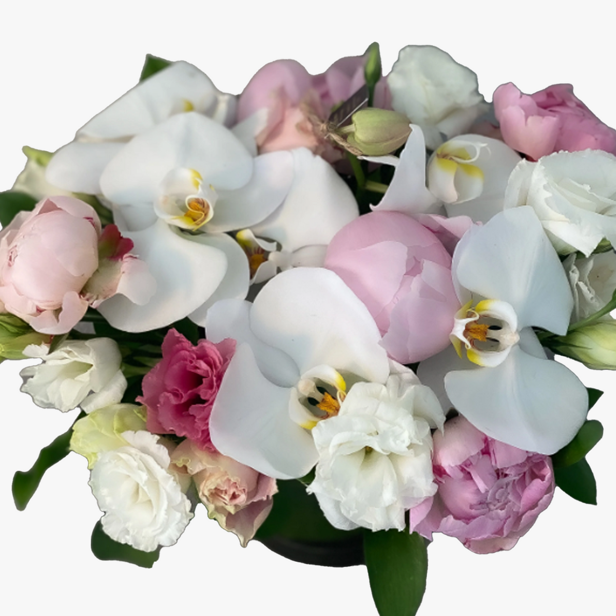 Luxury Peonies Orchids