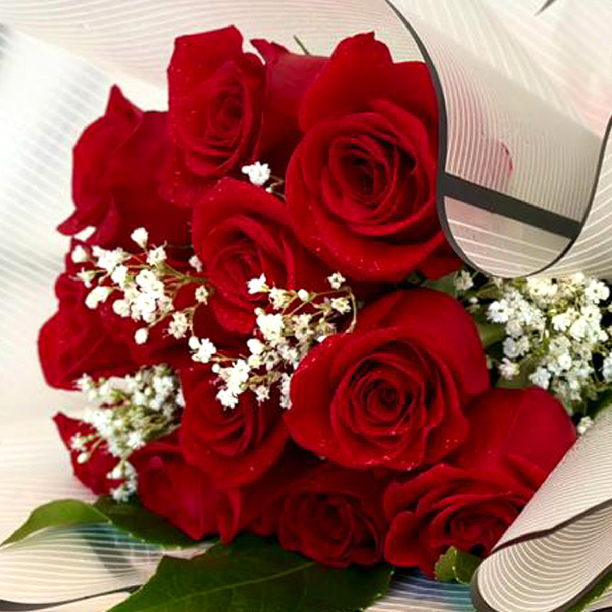 Elegant Red Roses Wrapped